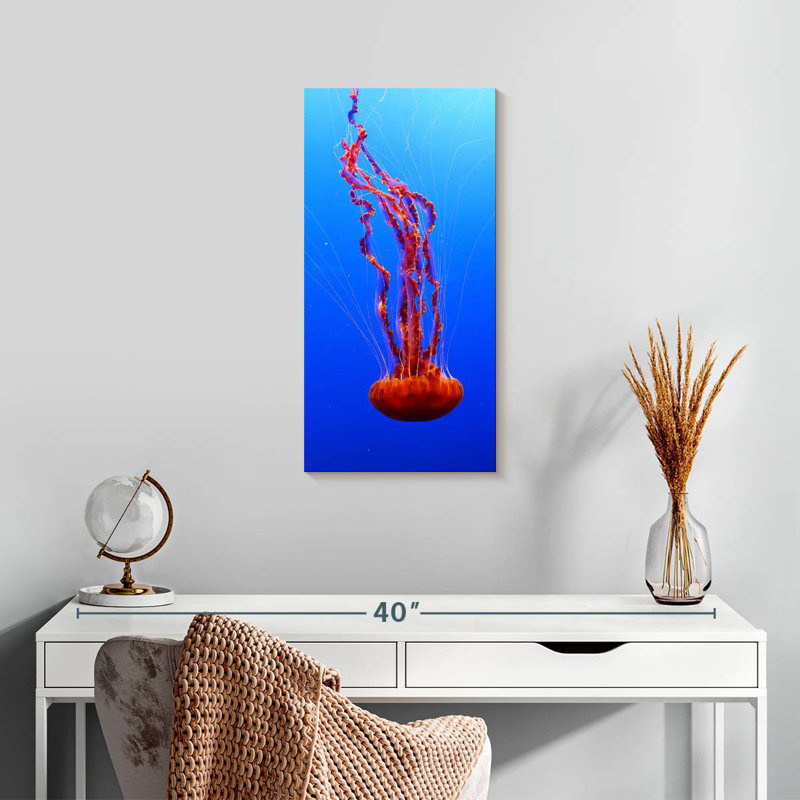 Ortie de mer méduse, H 24 po x l 12 po