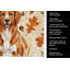 Serviette de cuisine tricolore Sheltie-2083472746