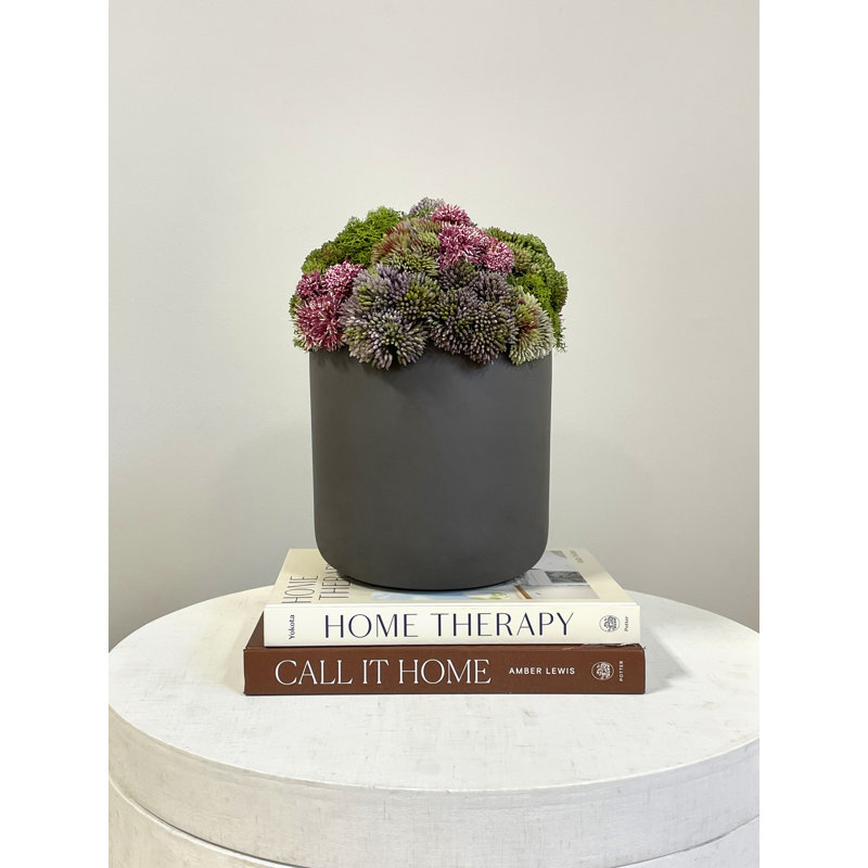 Polysilk Succulent Arrangement in Pot, Black