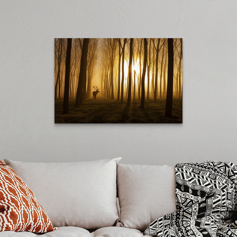 Once Upon a Time by Nafets Norim Photographic Print on Canvas East Urban Home 