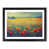 Black Framed selected