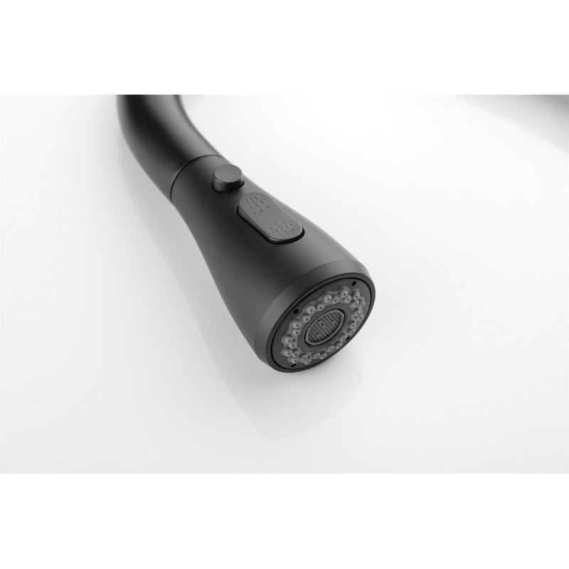 Kitchen Faucet With Pull Out Spraye