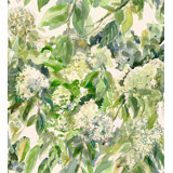 Hydrangea Garden