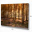 Paysage «Thick Fall Forest with Orange Leaves», reproduction de photo sur toile tendue encadrée-64636103-64636098
