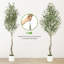59.06cm Plant-1519104807