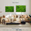 Corail vert Brampt-107847193