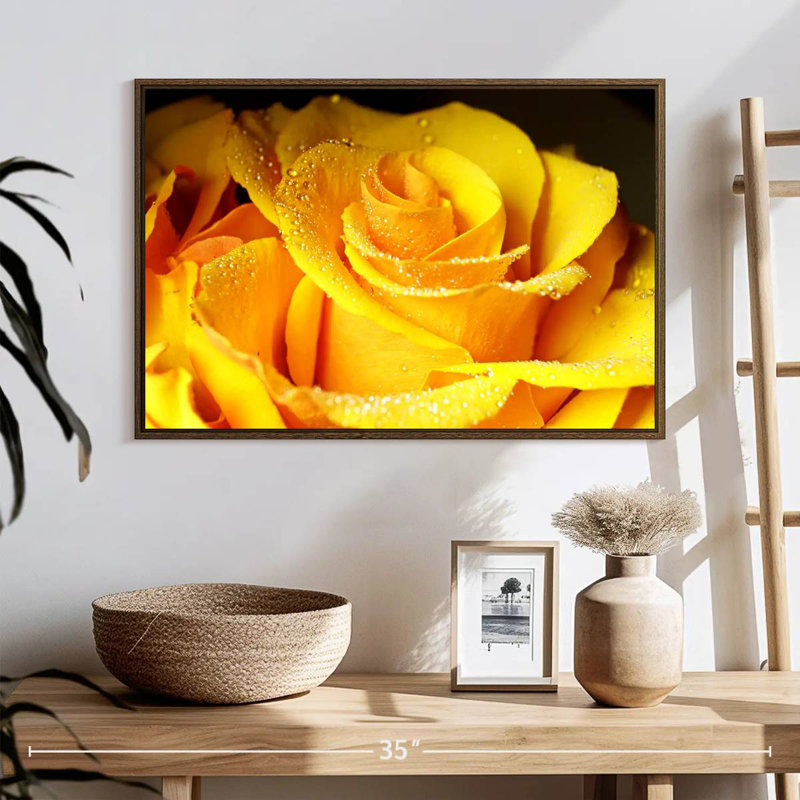 Rose jaune rosée, 25 po x 17 po, Cadre flottant noyer