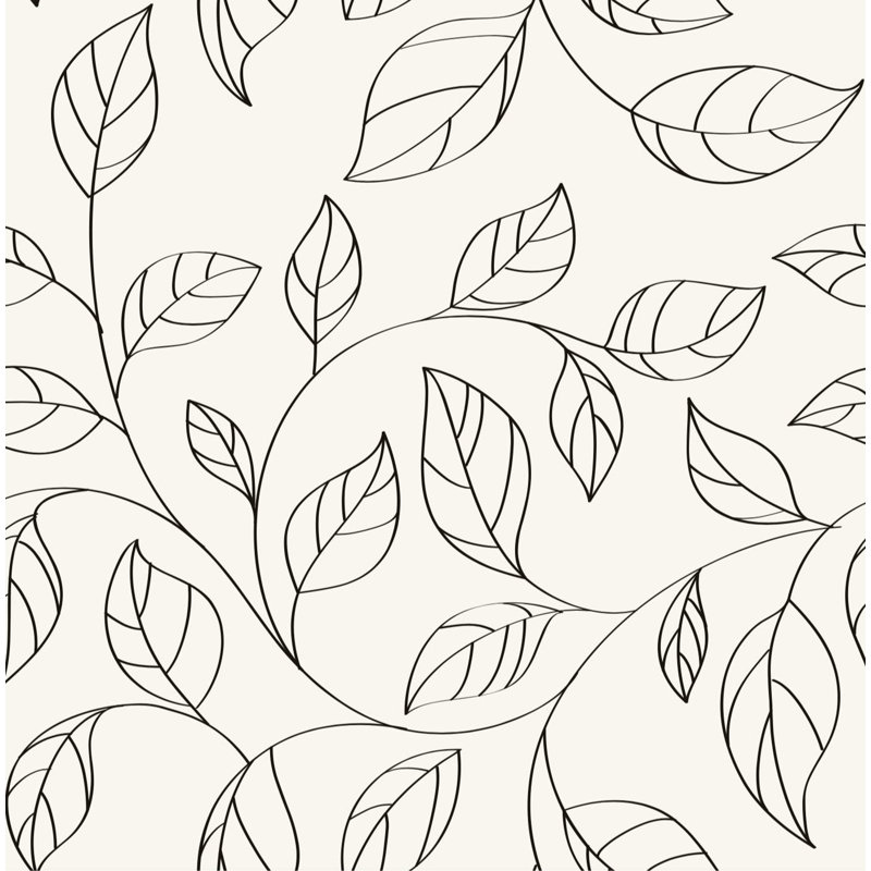 Hexham Matte Wall Mural, 520cm W x 300cm L