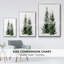 Simple Evergreen I-890400320-890400324