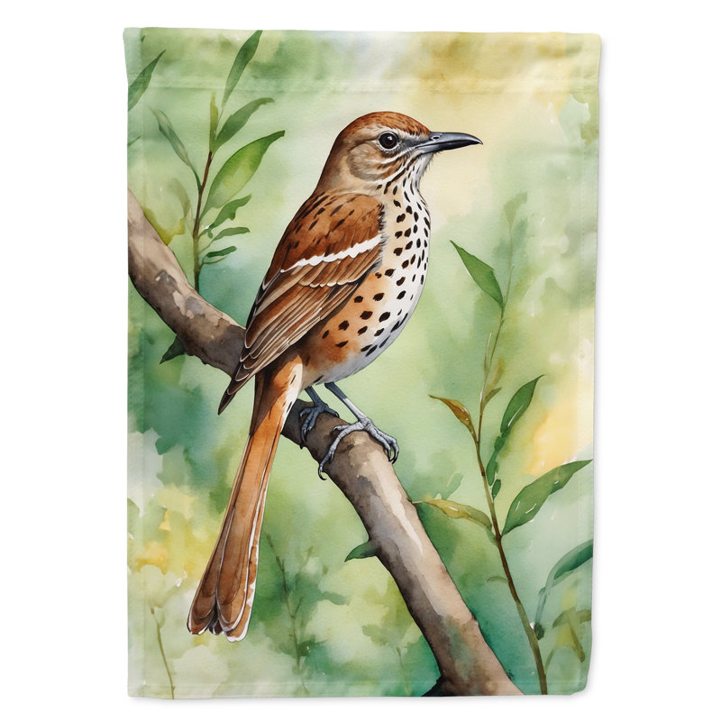 Drapeau de jardin, Moqueur de Géorgie - Géorgie