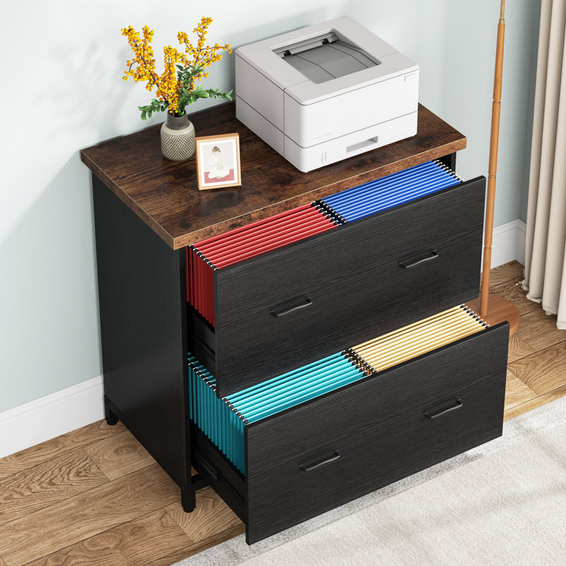 Helane 30.7'' Wide 2 -Drawer File Cabinet, Black/Brown