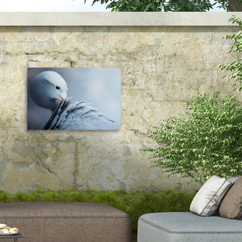 «Krystom Natural Beauty On Canvas» par Krystom, reproduction, H 16 po x l 24 po