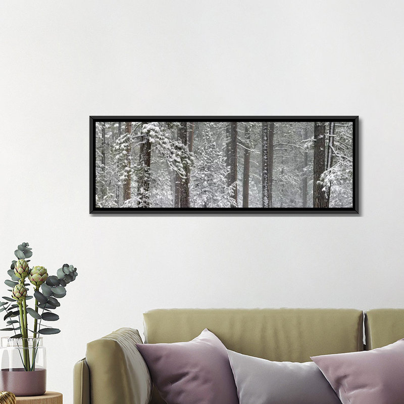 «Snow couverte Ponderosa Pine arbres in a forest, Indian Ford, Oregon, USA» par Panoramic Images - Reproduction giclée sur toile panoramique