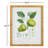 Fruit Study Rattan-Wrapped Prints, Set of 4