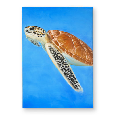 Sea Turtle Blue Animals Door Mat - Indoor Outdoor Home Decor