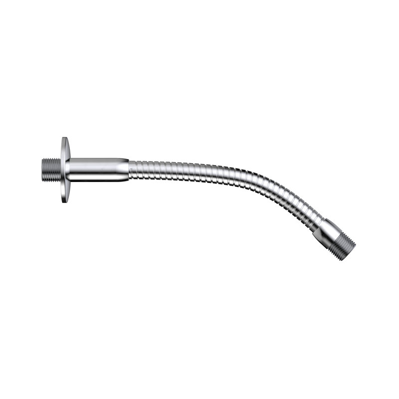 Bras de douche flexible et bride Stylewise, Chrome poli