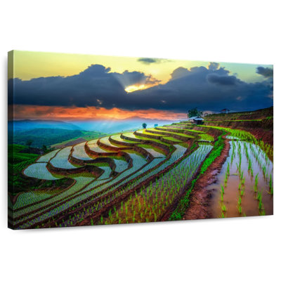 Alvord Chiang Mai Terraced Field