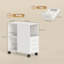 Printer Cabinet