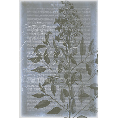 Fleur De Bleu I by Jennifer Goldberger - Wrapped Canvas Print