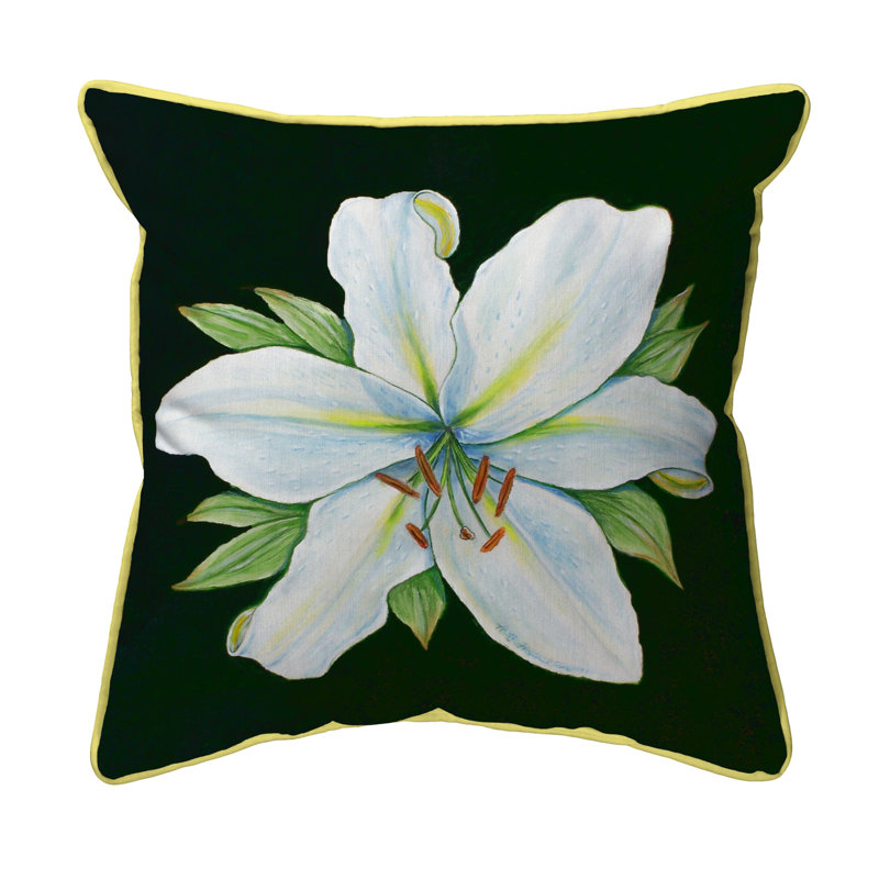  Coussin intérieur / extérieur