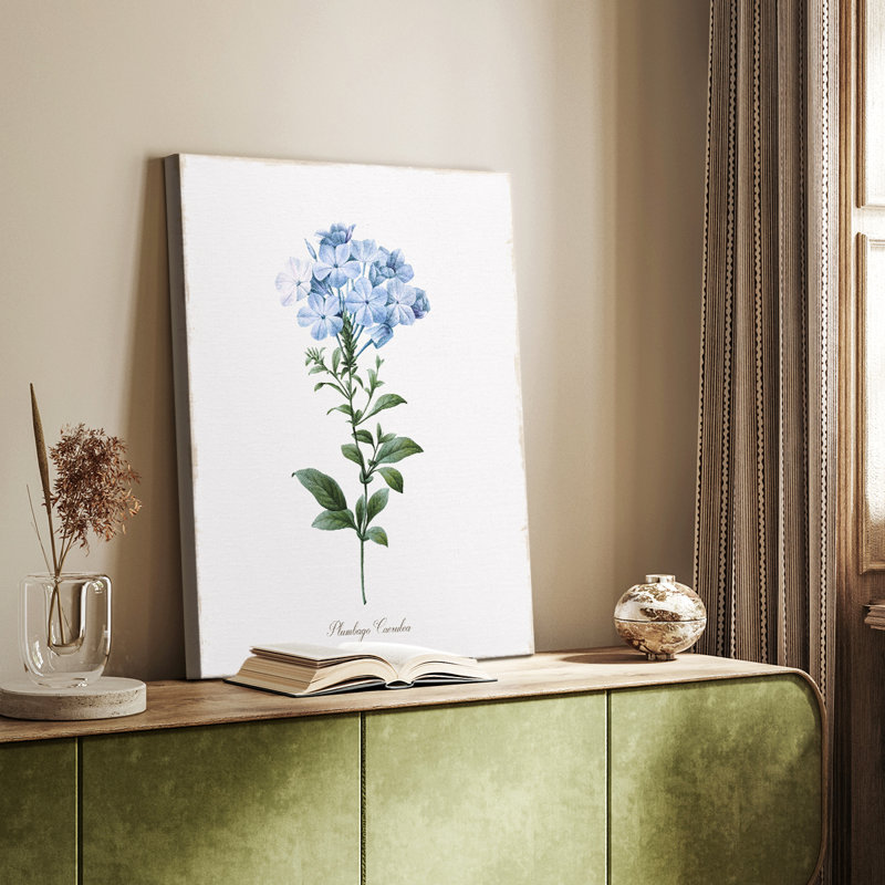 Cape Capeww - galerie Cavas sur mesure