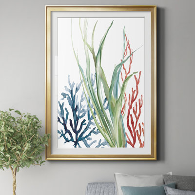 Ocean Garden II - Matted and Framed Under Acrylic Glass, Coastal Wall Art for Living Room