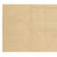 Hand Knotted Area Rug in Ivory