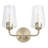 Celino Two-Light Bath & Vanity with Glass-1096742661-1096742660