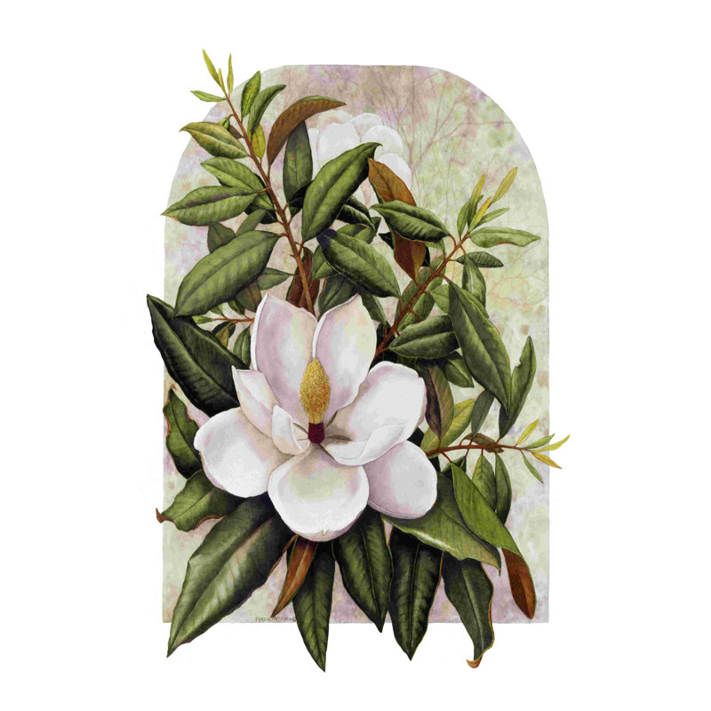 Magnolia Vignette, H 18 po x l 12 po
