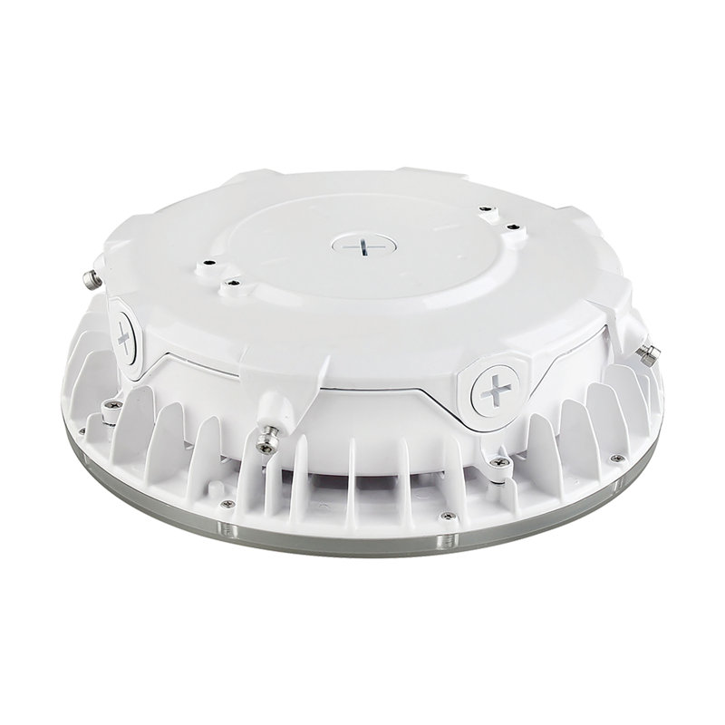 Sleek 10'' White Aluminum LED Canopy Light with Adjustable Color Temperature