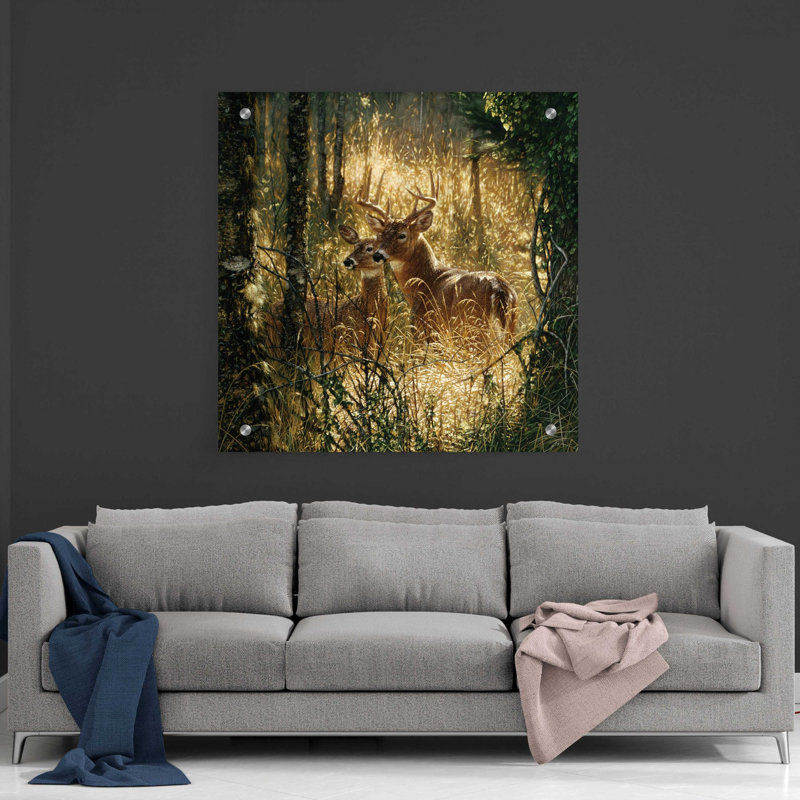 «A Golden Moment» par Collin Bogle, art mural en verre acrylique, H 36 po x l 36 po x P 0,2 po
