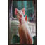 Affirmation par Lucia Heffernan - Peinture-785744388-785744399