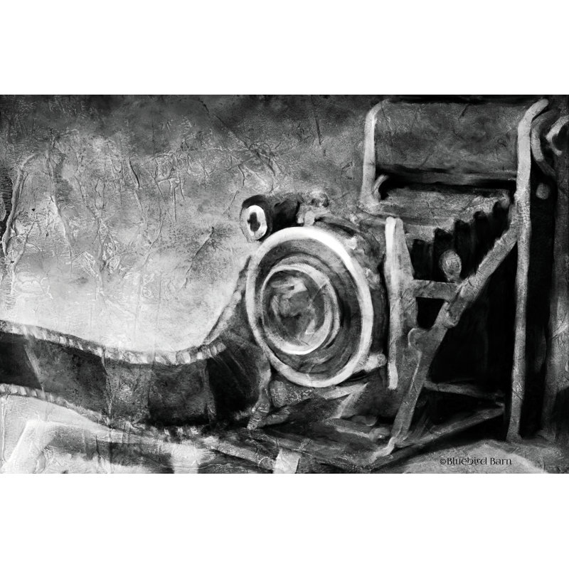 Appareil photo rétro noir et blanc - Peinture, Oui, Papier avec cadre simple argenté, H 12 po x l 18 po