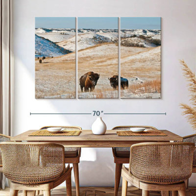 Alvord Buffalo In Winter