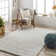 Lizan Shag Area Rug
