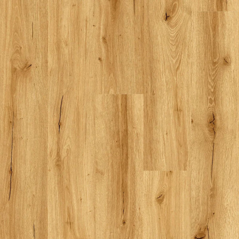 Thick Plank, Golden Oak Wood