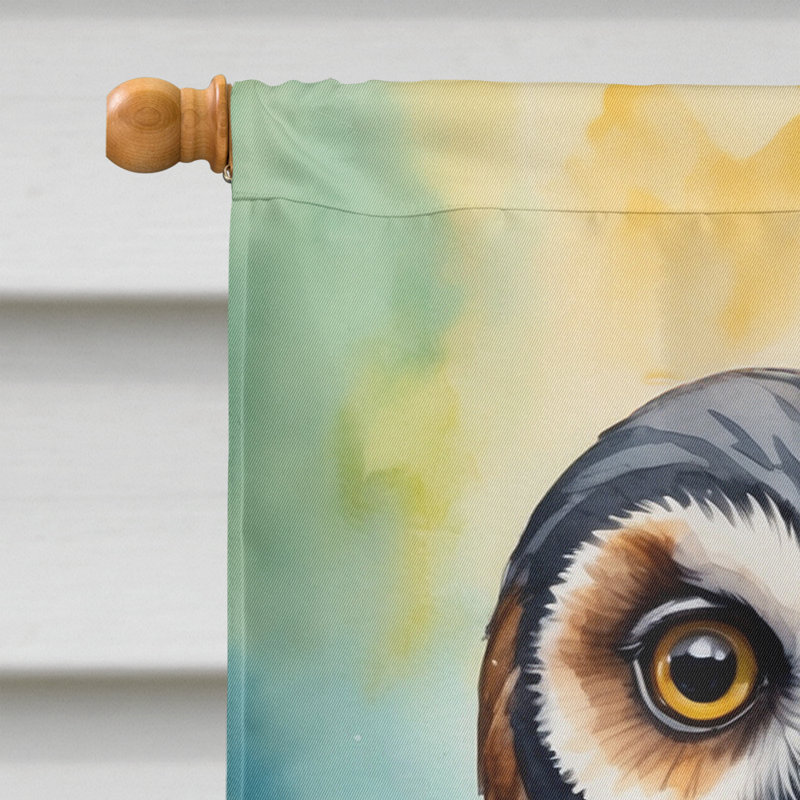 House Flag, Spectacled Owl