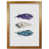 Honey Oak Frame