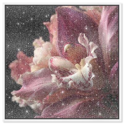 Velvet Labellum Print by Oliver Gal