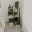 Plant Stand - Set of 6-597922288