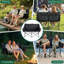 Quilted Double Folding Camping Chair-2145251915