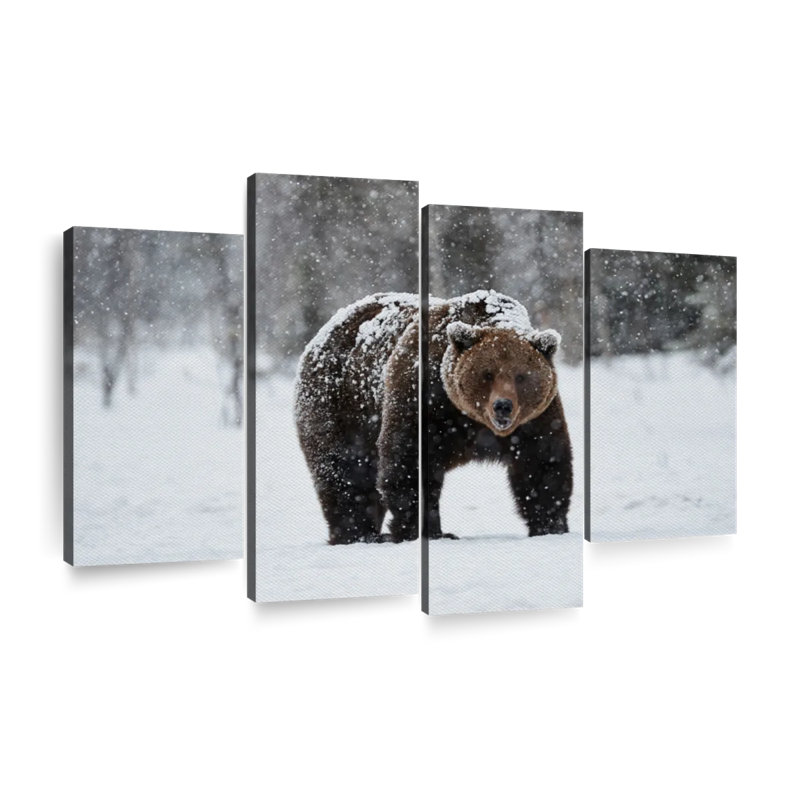 «Winter Grizzly Bear», reproduction d'art sur toile, H 54 po x l 84 po x P 1,25 po