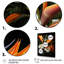 Oiseaux de paradis Paradise I - Art mural oiseaux de paradis-711568765-711568764