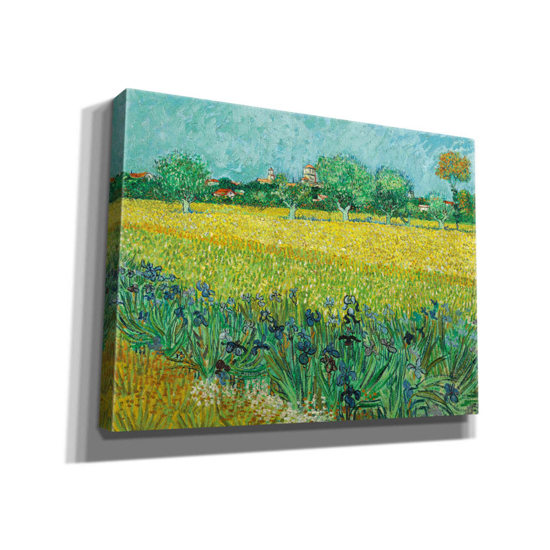 Champ avec iris près d'Arles sur toile par MASTERS, H 12 po x l 16 po x P 0,75 po
