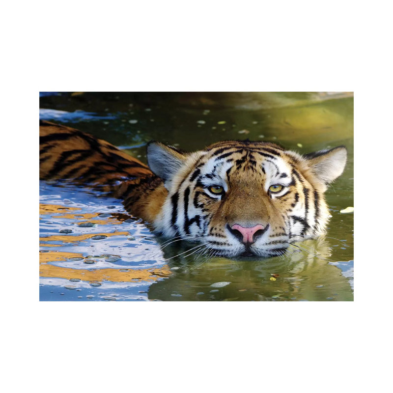 Tiger VI by Goran Anastasovski - Wrapped Canvas Print, 66.04 cm H x 45.72 cm W x 1.91 cm D