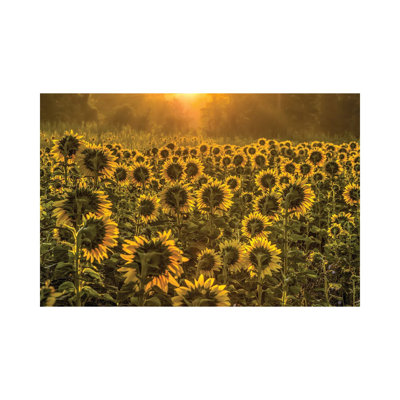 Sun Worshipers 1 Piece Wrapped Canvas Wall Art