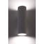 Cecelia 2-Light Up & Downlight