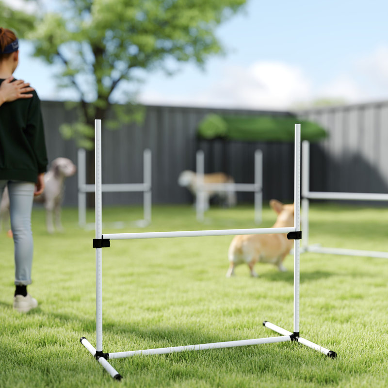 Ensemble d'exercice pour chien avec barre de saut réglable, Blanc, H 37,4 po x l 37,4 po x P 25,6 po