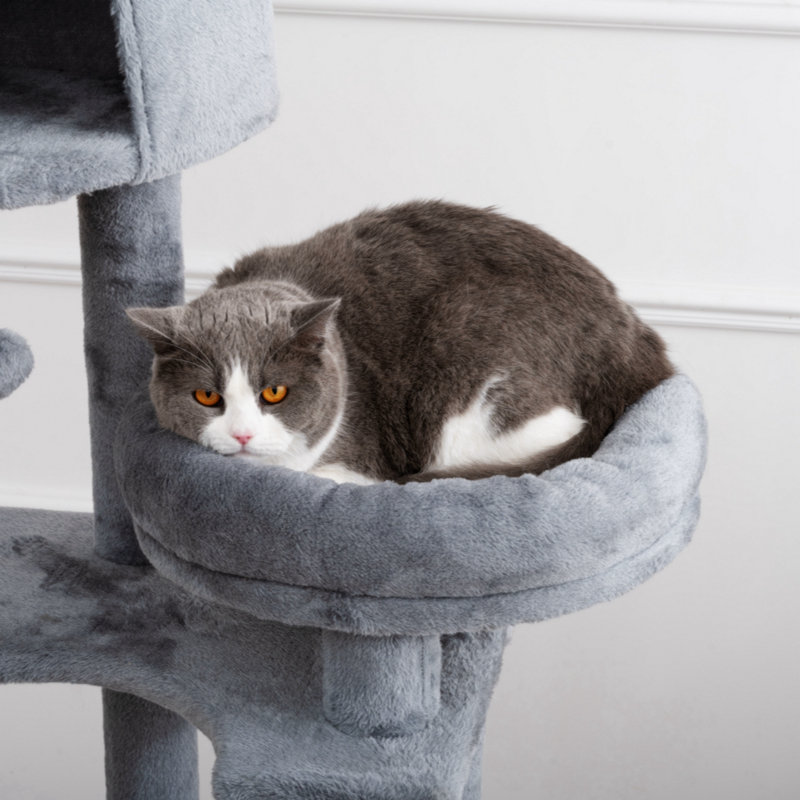Elic 104.3'' H Cat Tree
