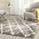 Geometric Hand Woven Area Rug